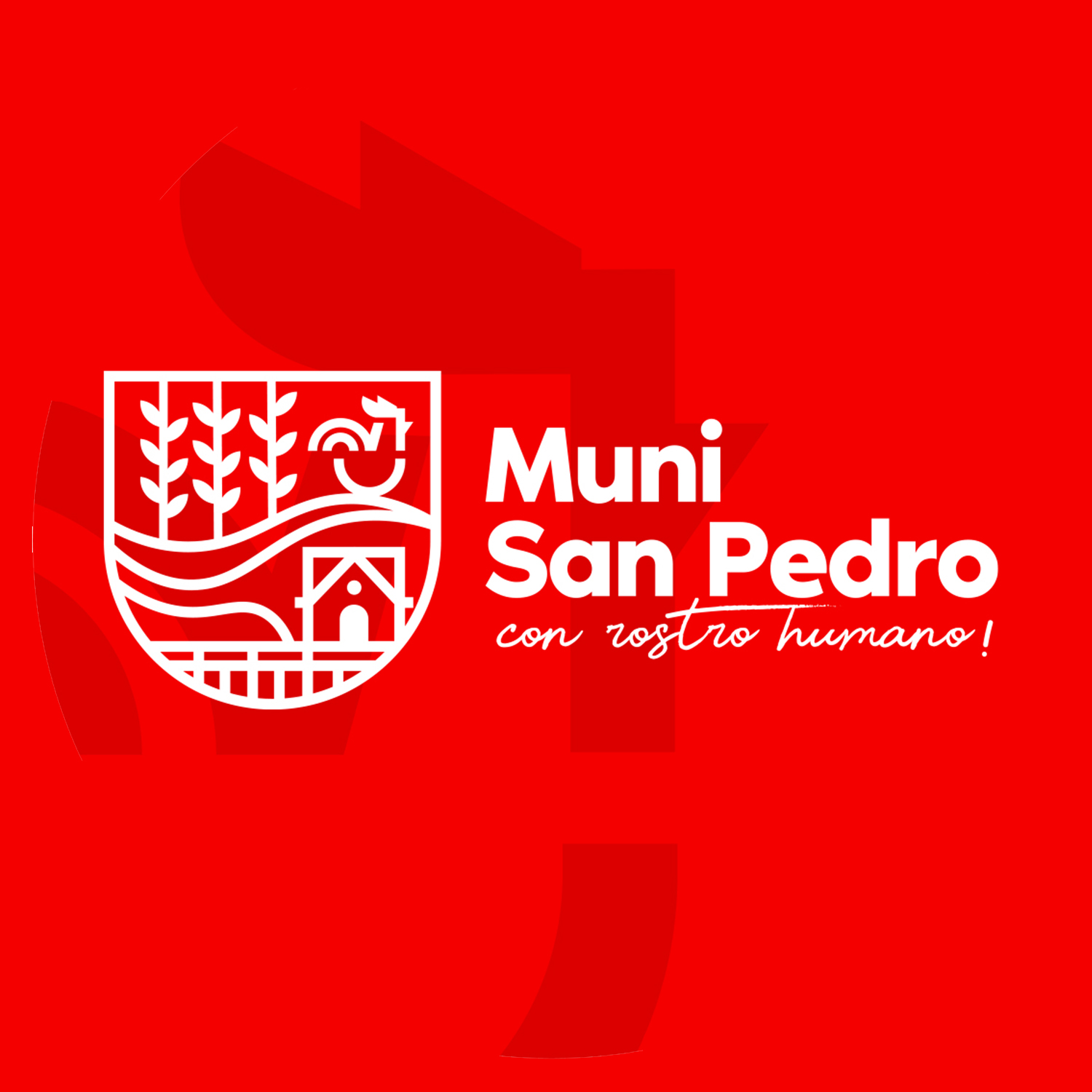 Muni San Pedro